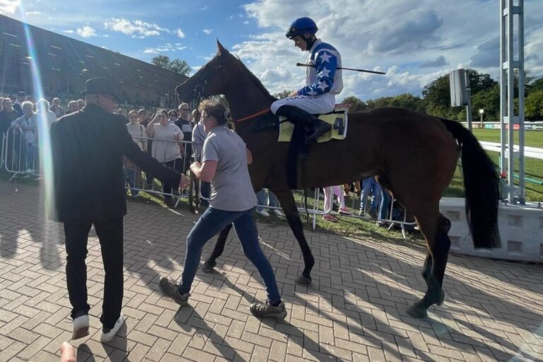 Ireland Alexander stellt die Formen Kopf – „Rechtsrum ganz anderes Pferd“