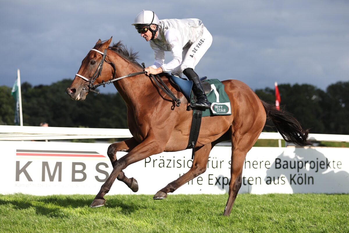 The joy of discovery