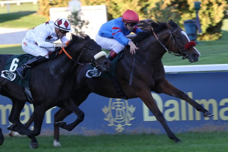 Leon sorgt im Ausgleich II für Glanz-Triplette