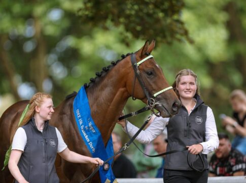 Derbysieger Hochkönig tritt nicht im Preis von Europa an Der Derbysieger Hochkönig wird vom Rennclub geehrt