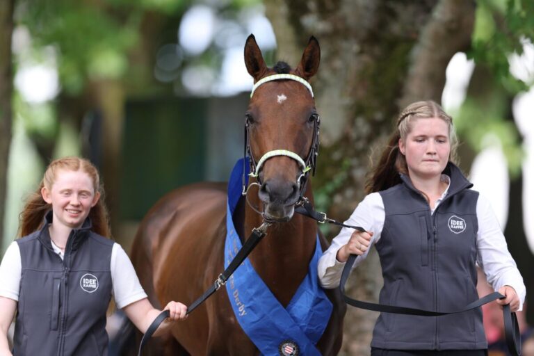 Yasmin Almenräder stellt den Hochkönig-Plan vor