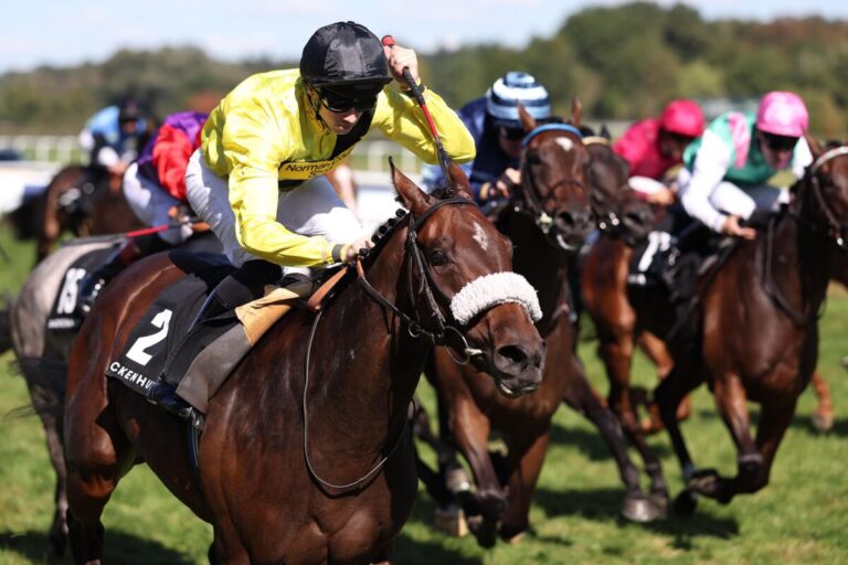 Gäste deklassieren deutsche Stuten – Miss Information vorne