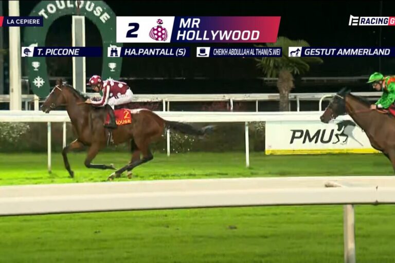 Mr Hollywood – Endlich wieder Sieg und jetzt zur Arc Sale