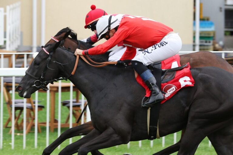 Nightdance Giulia: Gekauft, gewonnen und Smrczeks 900.