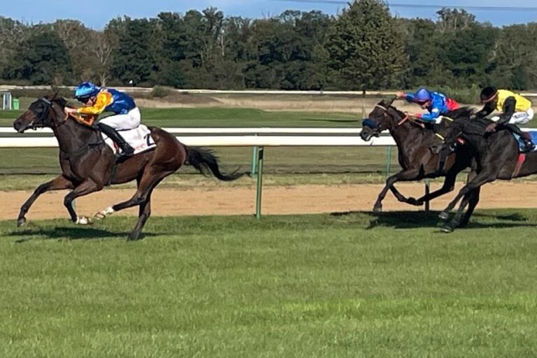 David Liska on fire – Nordstar gewinnt BBAG Auktionsrennen als Siegloser