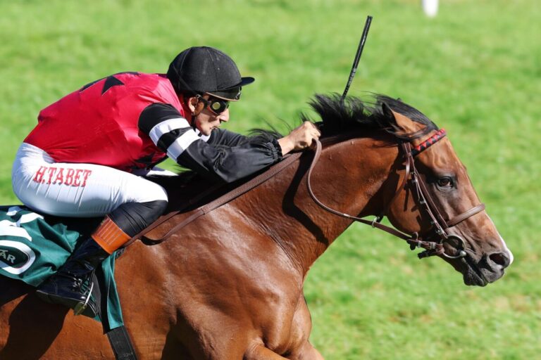 Endlich Siegershow für Noshowlikeajoeshow – Tabet: „Bin zu dick“