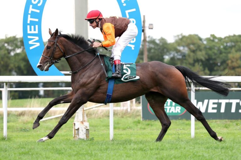 Lesen lohnt sich: Wöhlers Royal Ito setzt Arbeitsleistungen top um