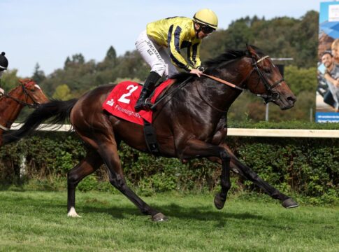 Schiergen-Premiere in Saarbrücken – Wonder Boy erster Sieger für den Champ Wonder Boy siegt unter Esentur Turganaaly Uulu