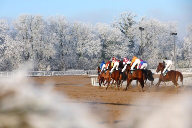 49 Rennen an 7 Renntagen – Termine Sandbahnsaison 2025/2026 veröffentlicht