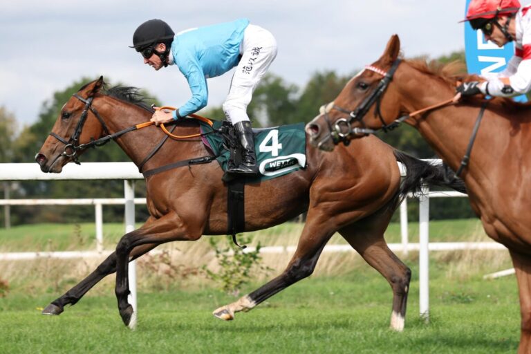 Salonglaenzende sorgt beim Deutschlanddebüt für Wittekindshofer Heimsieg