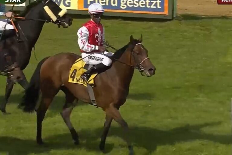 Kann man die Uhr nach stellen: Jetzt auch Savoya für Erfolgs-Stall Chronos