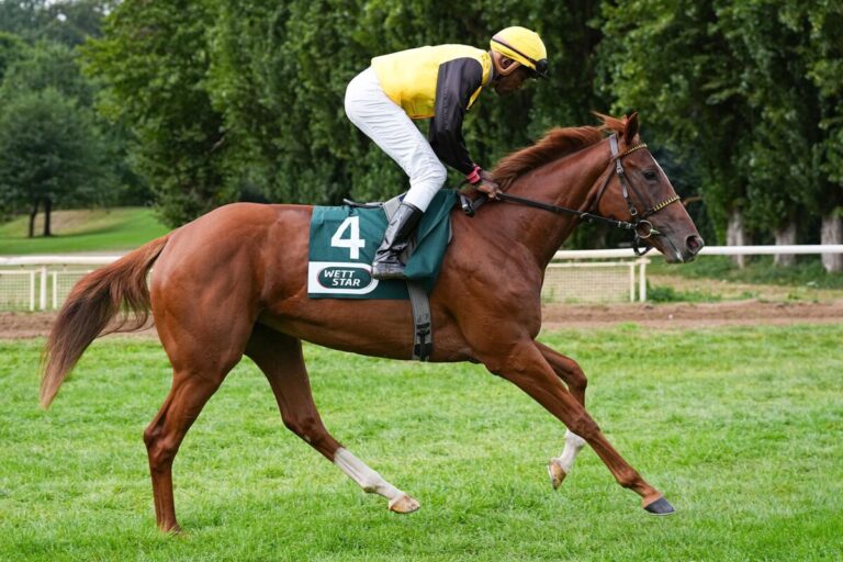 Chiefland raus – Noch sechs im Junioren-Preis