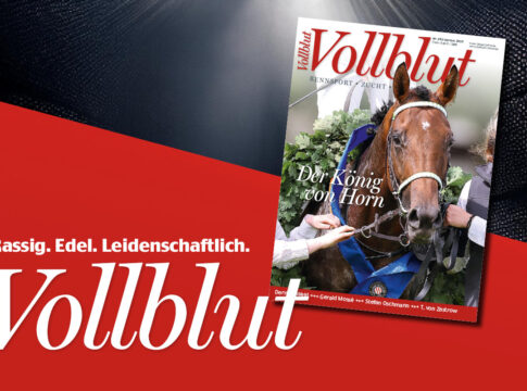 VB 282_GOL-Teaser