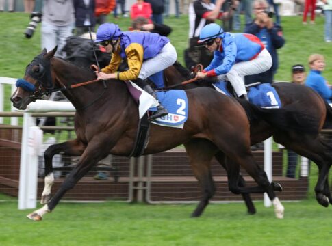 Warren Hill siegt unter Leon Wolff im Gro§er Preis der VGH Versicherungen – BBAG-Auktionsrennen