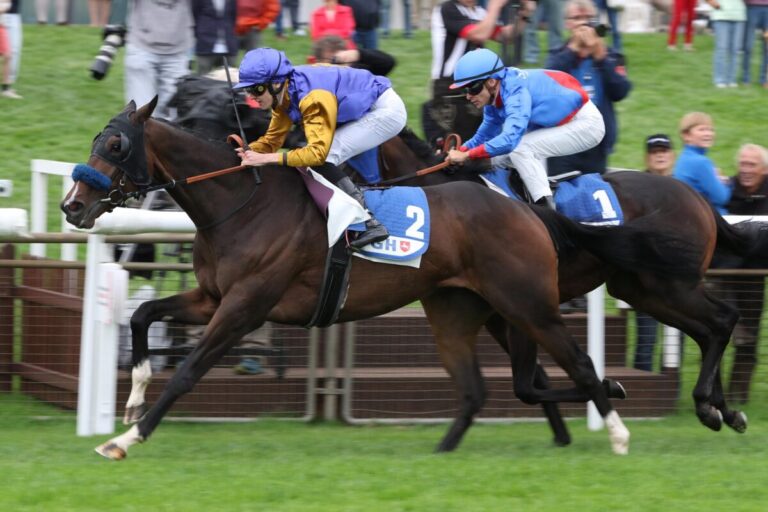 Warren Hill schlägt Next Mine – Grewe auch im Auktionsrennen Hannover