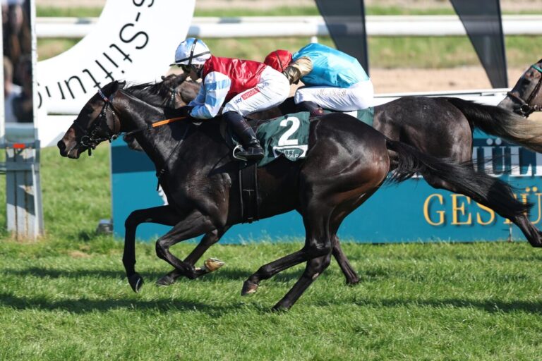 Zweiter Start, weiße Weste hält: Believe in Me jetzt Listensiegerin