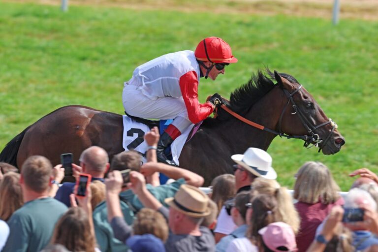 Überlegen! Schiergens Geography gewinnt Brunner – Oettingen-Rennen