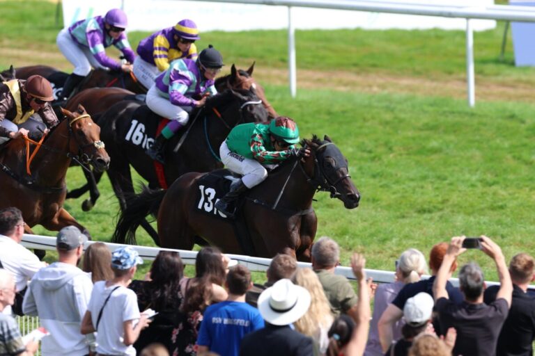 Revanche geglückt! Piechulek und Go Girl Go putzen diesmal Thore