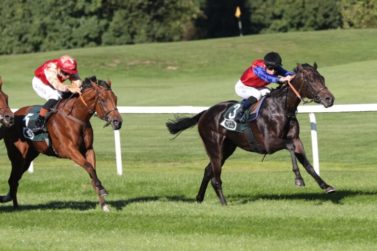 Nächster Sieg für Uulu: Schlenderhaner Shejtan Start-Ziel ganz leicht
