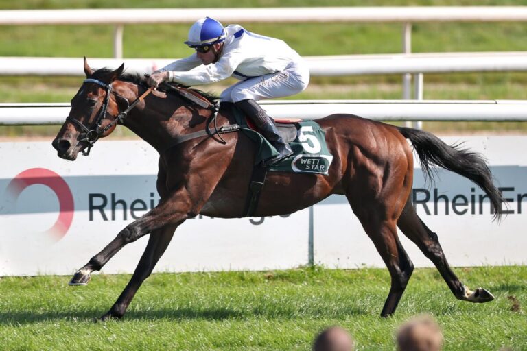 Nach dritter Streichung: Noch 86 im Deutschen Derby