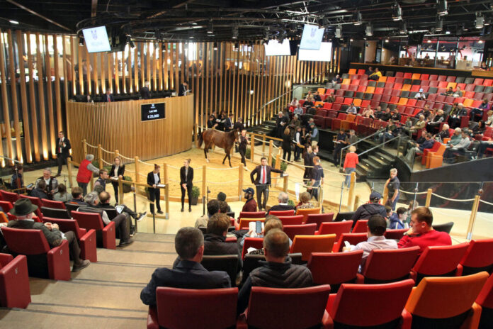 Arqana Auktionshalle
