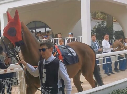 Deutscher Zuchterfolg in Madrid: Ex-Deutscher Sirjan gewinnt Listenrennen Sirjan in Spanien