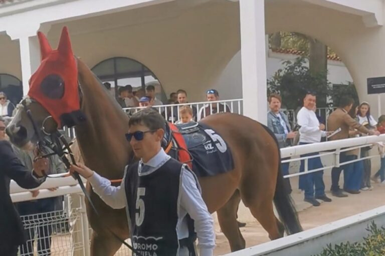 Deutscher Zuchterfolg in Madrid: Ex-Deutscher Sirjan gewinnt Listenrennen