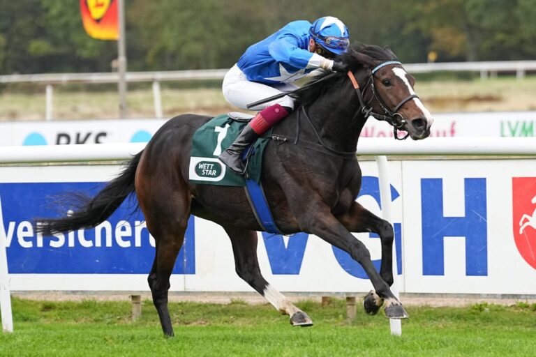 Nach sieben Plätzen bei neun Starts – Endlich Against All Odds