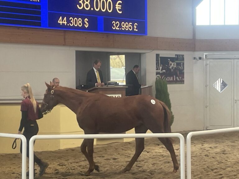 Liberty Racing Gold kauft Isfahan-Sohn Aggelos