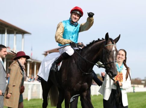 Maidensieg in der Winterkönigin - Alsterperles neue Marke ist da Alsterperle siegt unter Martin Seidl im Carla Kellner Zukunftsrennen - Preis der Winterkönigin