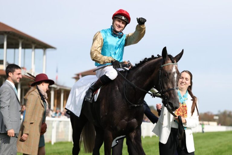 Alsterperle siegt unter Martin Seidl im Carla Kellner Zukunftsrennen - Preis der Winterkönigin