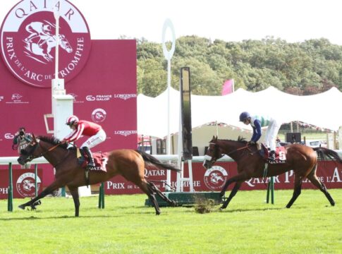 Caballo De Mar