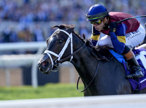 Cy Fair gewinnt Juvenile Turf Sprint - Meeting beginnt mit US-Sieg HORSE RACING 2025: Breeders’ Cup Championship Friday OCT 31