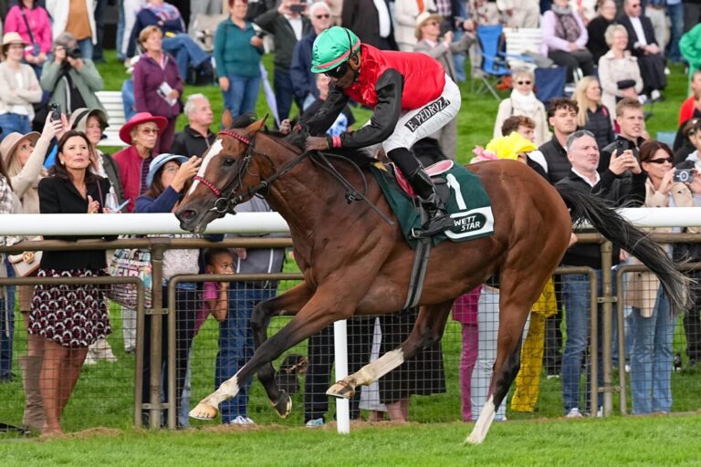 Delgardo siegt unter Eduardo Pedroza im Großen Preis des Audi Zentrum Hannover - BBAG Auktionsrennen
