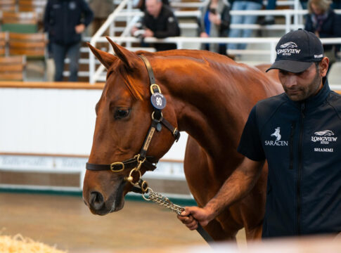 Der Sea The Stars-Sohn aus der Crystal Zvezda Foto: Tattersalls