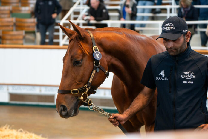 Der Sea The Stars-Sohn aus der Crystal Zvezda Foto: Tattersalls