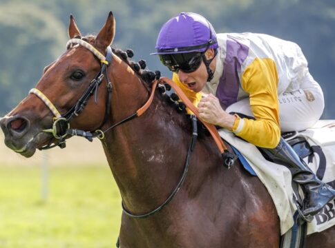 Dragon Magic siegt unter David Liska im Sparkasse-BBAG Auktionsrennen