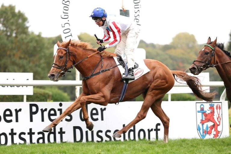 Franky's Dream siegt unter Adrie de Vries