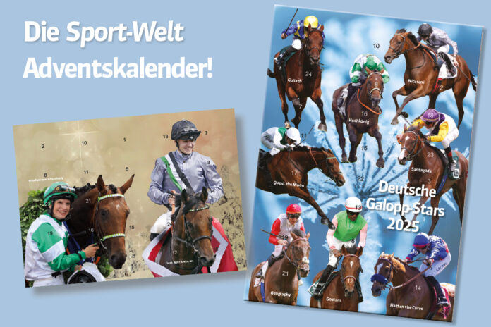 GOL_Adventskalender_2025