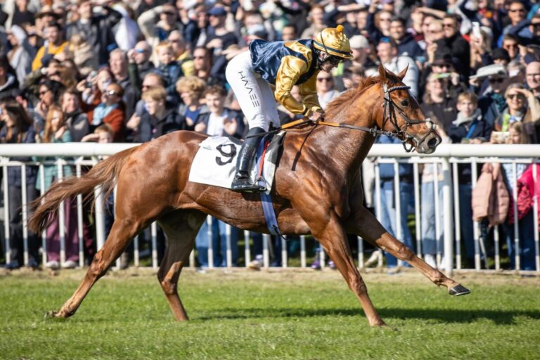 Sehenswert! Garfield spielt bei Handicap-Debüt Katz und Maus