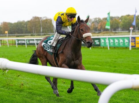 Debütantin Ginger Cat erste Sieger bei Hannover-Saisonfinale Ginger Cat siegt unter Rene Piechulek