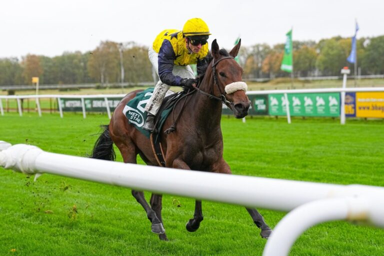 Debütantin Ginger Cat erste Sieger bei Hannover-Saisonfinale