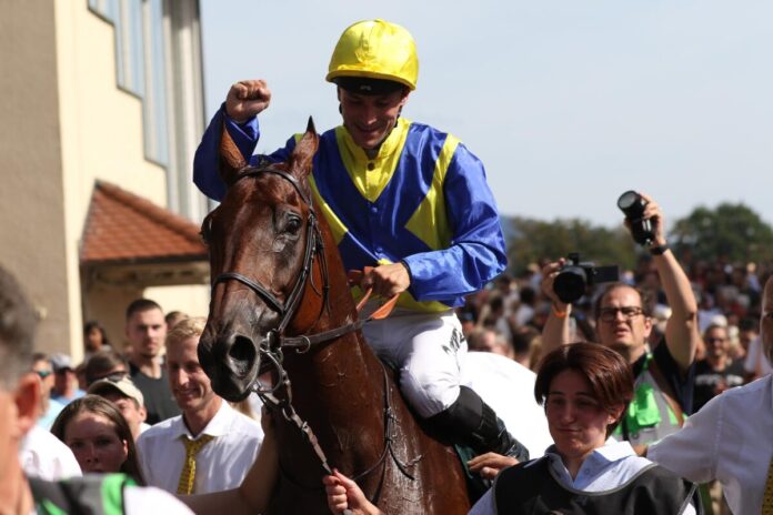 Goliath nach dem Sieg im Grossen Preis von Baden Goliath nach dem Sieg im Grossen Preis von Baden