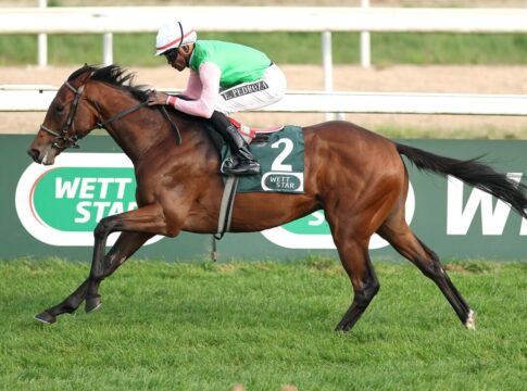 Gostam siegt unter Eduardo Pedroza im Wettstar.de – Preis des Winterfavoriten, Gr.3