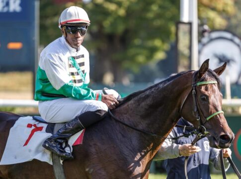 Reformationstags-Renntag in Halle mit Auktionsrennen und Garantie-Dreierwette Quiara siegt unter Eduardo Pedroza