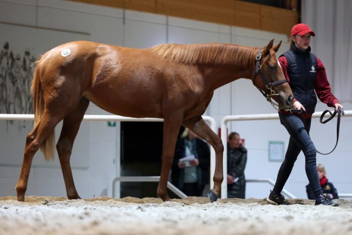 Verdandi (Kat.Nr. 120)