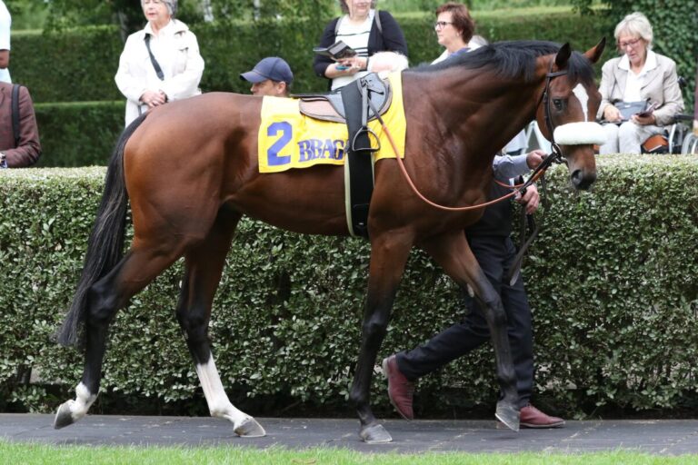 Niclas vor Walkover – Deutscher Doppelerfolg im Schweizer St. Leger