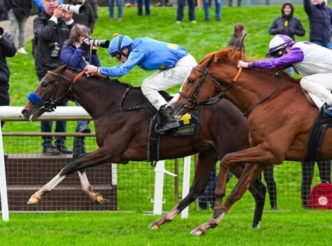 Kairos siegt unter Leon Wolff im Alson – Youngster Steher Cup, Listenrennen