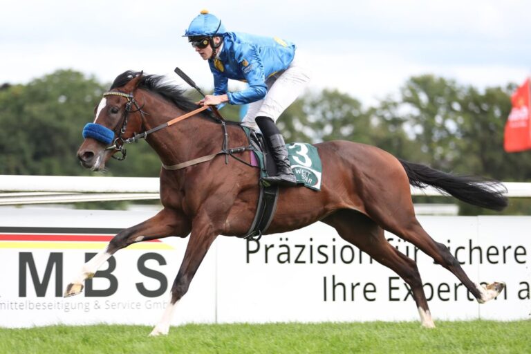 Zwei Listenrennen und 22.222 Euro Garantie in der Viererwette