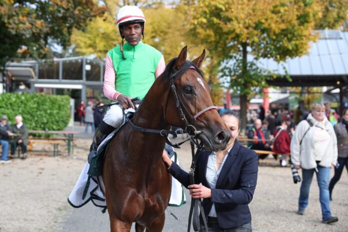 Gostam siegt unter Eduardo Pedroza im Wettstar.de - Preis des Winterfavoriten, Gr.3